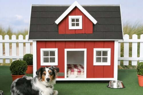 kırmızı cepheli köpek evi