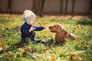 köpek ile oynayan bebek