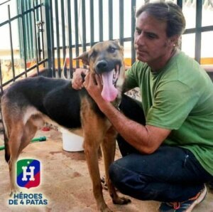 Bir köpeği sahiplenen dört bacaklı kahramanlar