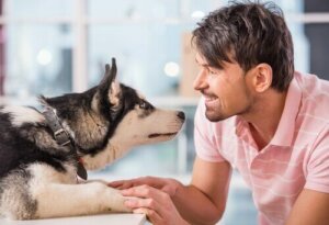 Köpekler sahiplerini taklit edebilir