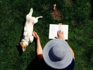 Man Meets Dog - Konrad Lorenz'in Eserleri