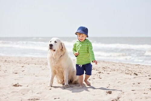 plajda duran köpek ve çocuk