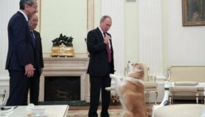 Vladimir Putin'in Köpeği Japon Gazetecileri Korkutuyor