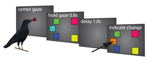 karga deneyini gösteren tablo