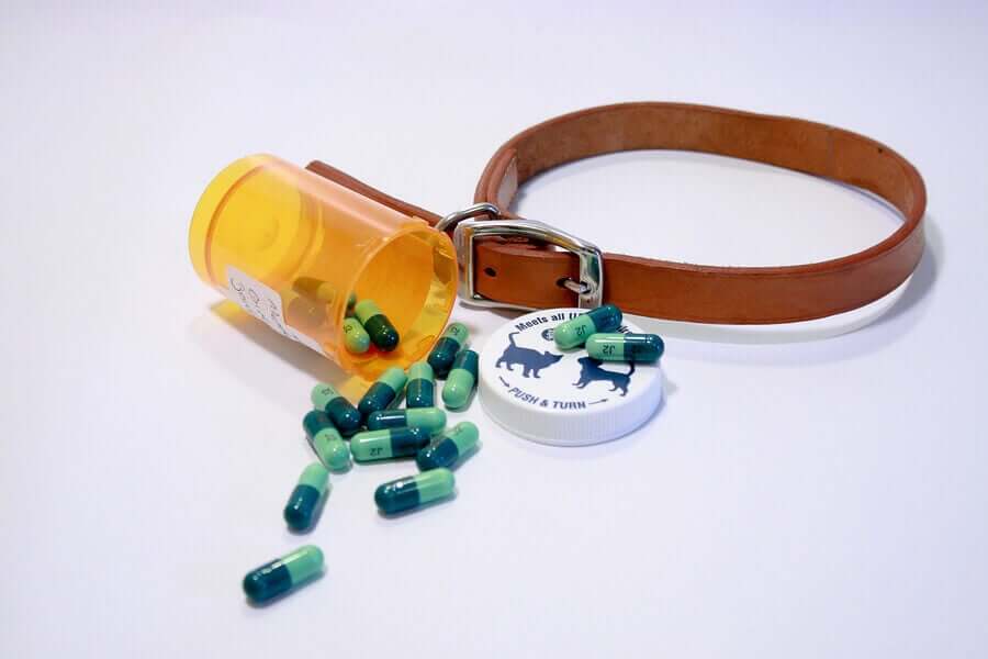 ilaç kutusu ve yeşil ilaçlar