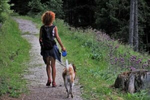 Köpeğinizle Kamp Yapmak İçin 5 İpucu