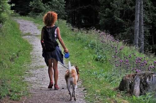 Köpeğinizle Kamp Yapmak İçin 5 İpucu