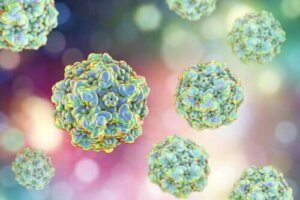 Hayvanlarda Kronik Yorgunluğa Neden Olan Mikroorganizmalar