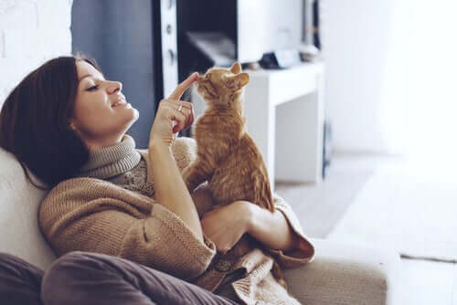 turuncu kedisini seven kadın ve kedilerin sevdiği eylemler