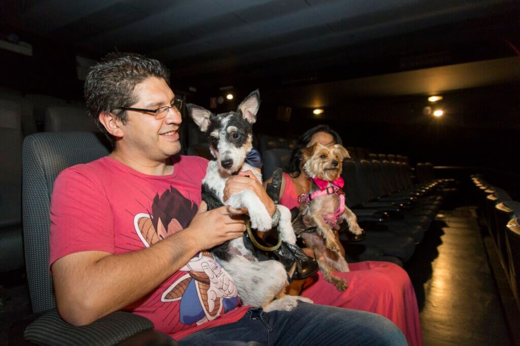 köpekler ve için özel günler