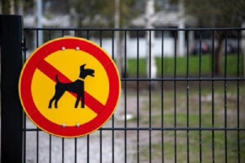 Köpeklerin yasak olduğunu gösteren bir işaret.