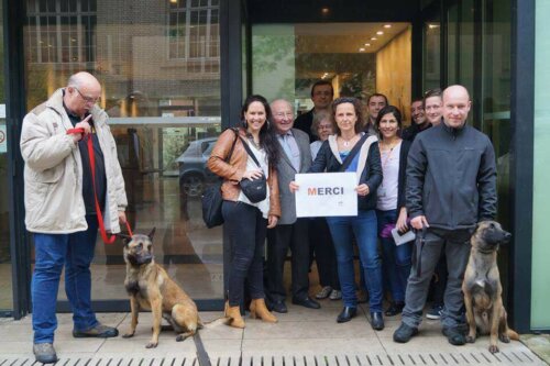 Köpekler ve insanlar.