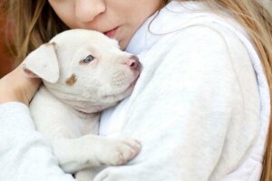 Otizm Teşhisi Konulan Çocuklar İçin Hayvan Destekli Terapi