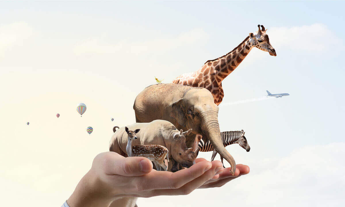 Zürafa fil gibi minyatür vahşi hayvanlar