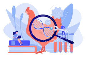 Evcil Hayvanlarda Genetik Seçilim Nedir?