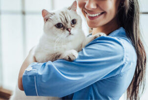Bir kedi ve veteriner
