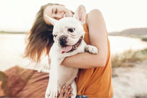 kurtarma ekibi denizdeki köpeği kurtardı