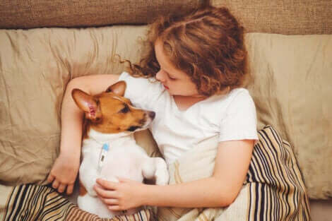 hasta köpek ile yatan kız