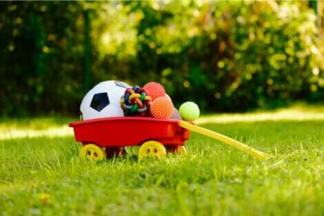 köpeklerde zihinsel uyarım