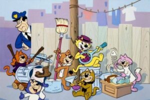 Top cat görüntüsü