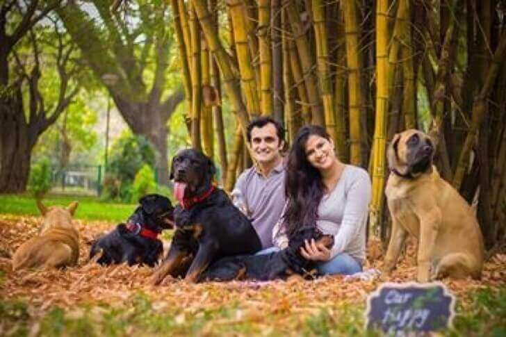 Köpekler ve bebekler ailenin aynı derecede parçası.