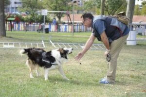 Zehir tespit eden köpek Albatrox