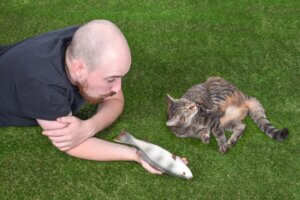 Bir Kedinin Sosyal Etkileşimi ile İlgili 4 İlginç Gerçek