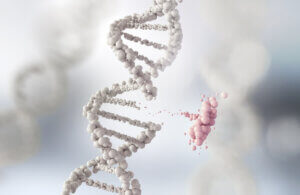 genetik yapı, evrim, doğal seçilim