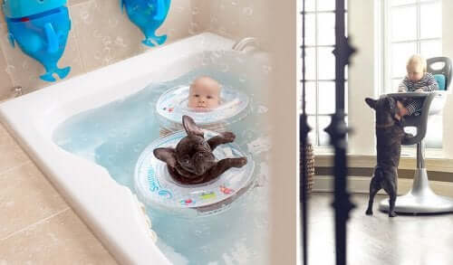 aynı gün doğan bebek ve yavru köpek beraber vakit geçiriyorlar