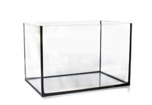 boş akvaryumlar, akvaryumlar