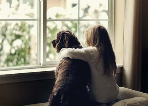 Zorbalık: Köpek Destekli Terapi Faydalı Olabilir mi?