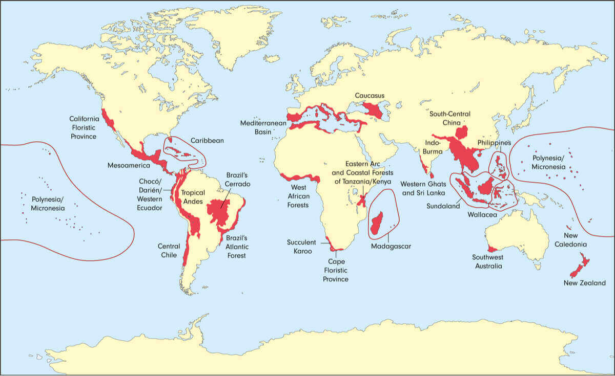 Biyolojik çeşitlilik dağılımını gösteren harita