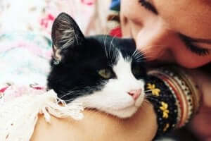 Seyahate Çıkacağınız Zaman Kedinizi Ne Yapmalısınız?