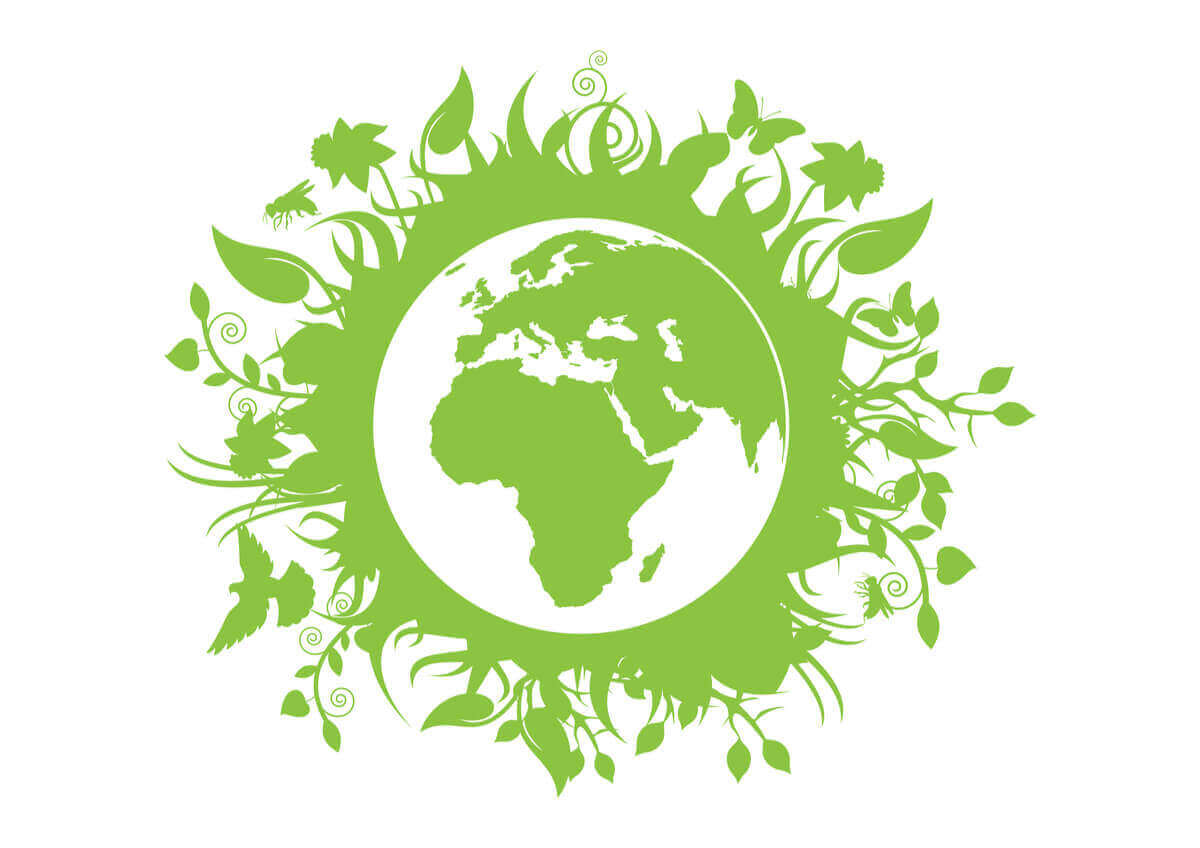 Üstünde yeşil bitkiler olan dünya görseli