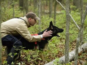 Köpeğiniz İçin En İyi Köpek Eğitmeni Nasıl Seçilir?