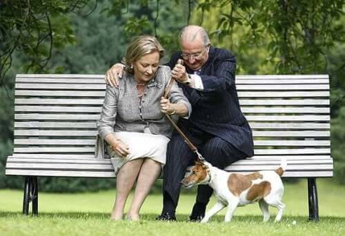 Avrupa Kraliyet Köpekleri İle Tanışın