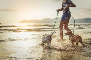 köpekleriyle yüzen kadın