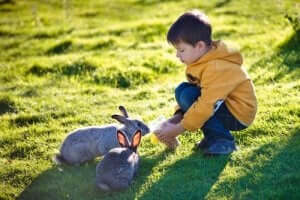çimlerde tavşanla oynayan çocuk