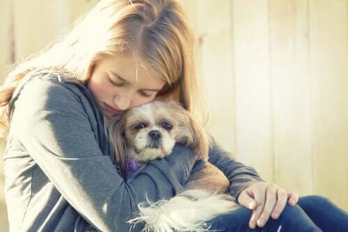 depresyon tedavisi gören köpek