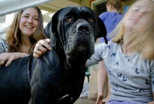 Köpek Korkusu: Sinofobi Nasıl Yenilir?