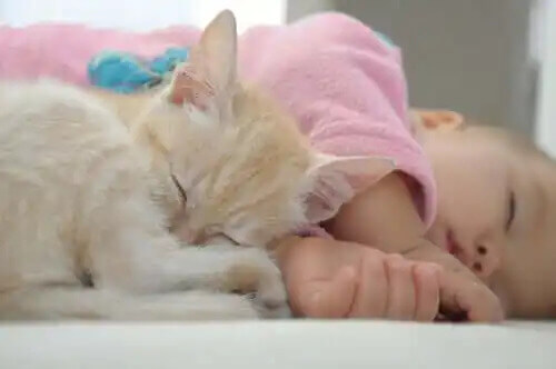 bebekle birlikte uyuyan kedi