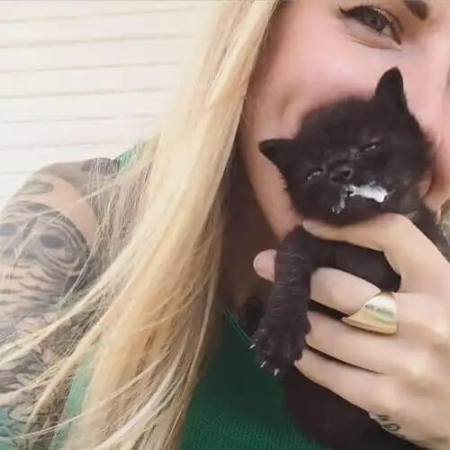 kedi munay ve kitten lady