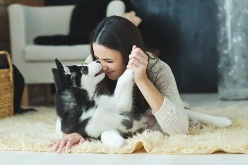 Köpekler İnsan Duygularını Anlar