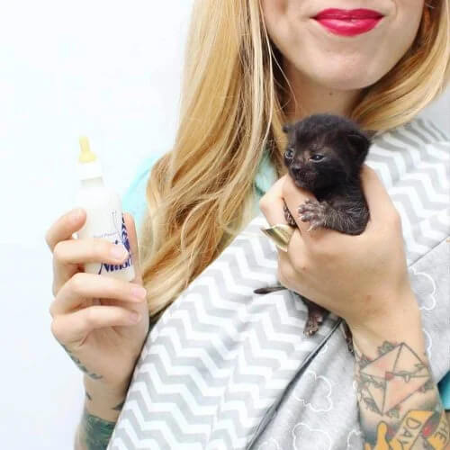 Kitten Lady: Yüzlerce Kediyi Kurtaran Kadın