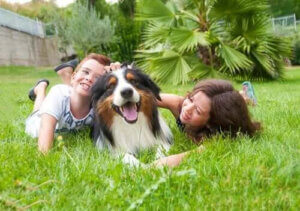 Büyük veya Küçük Köpek: Bir Çocuğun En İyi Arkadaşı