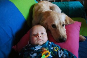 Dişi Köpek Terk Edilmiş Bir Bebeği Emziriyor