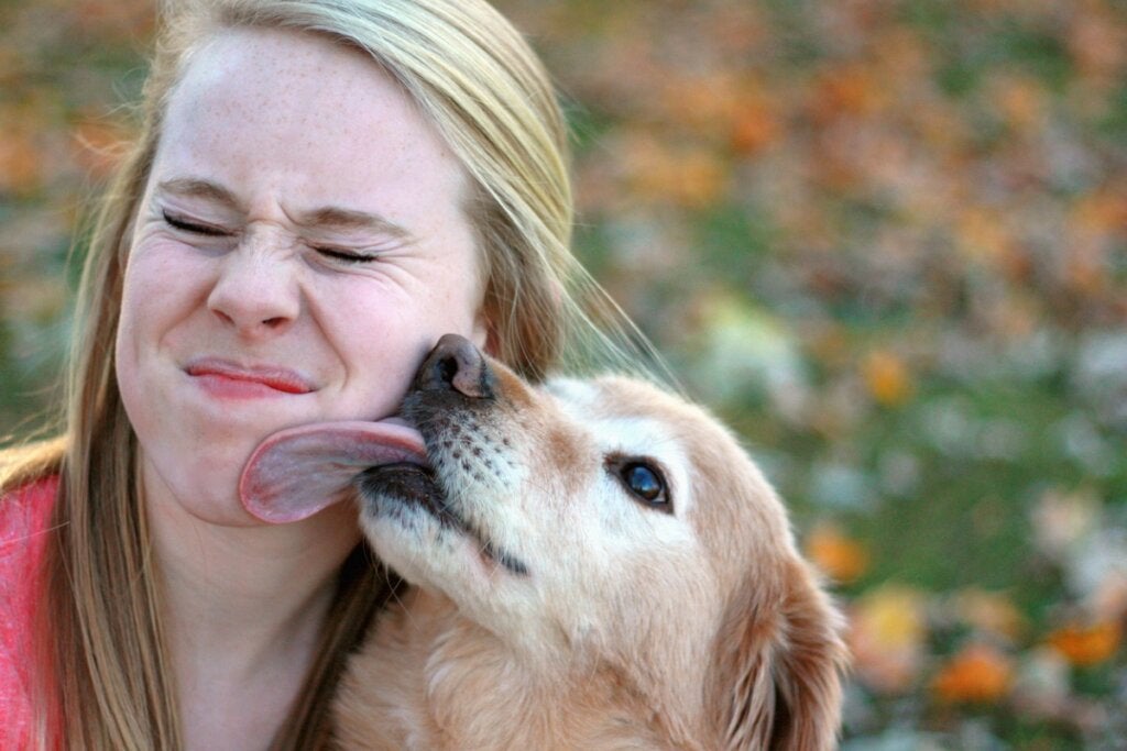 Köpekler Nasıl Selam Verir?