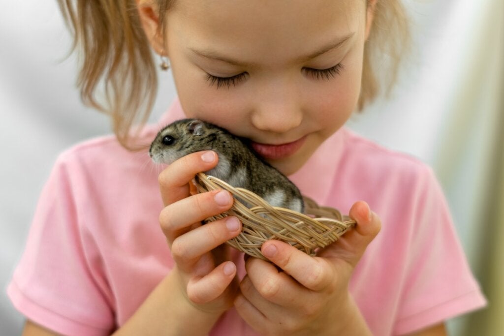 Hamsterınızın Mutlu Olduğunu Nasıl Anlarsınız!