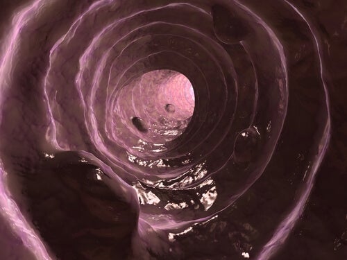 Köpek Dışkısında Mukus: Nedenleri ve Tedavisi