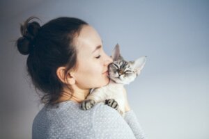 Kedi Sevdiğimi Nasıl Anlarım?
